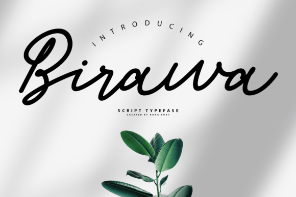 Birawa: A Playful Script for Modern Creators