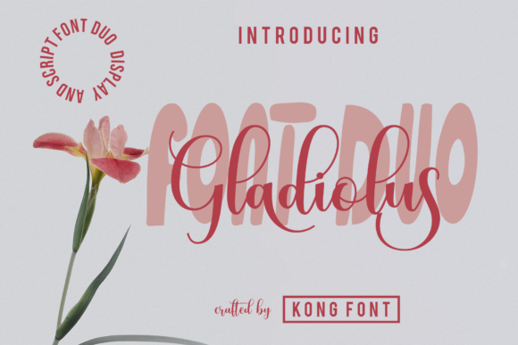 Gladiolus: The Modern Script Font for Playful Design