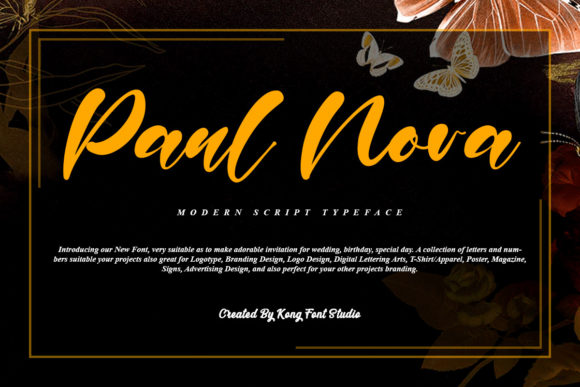 Paul Nora: A Modern Script for Creative Projects